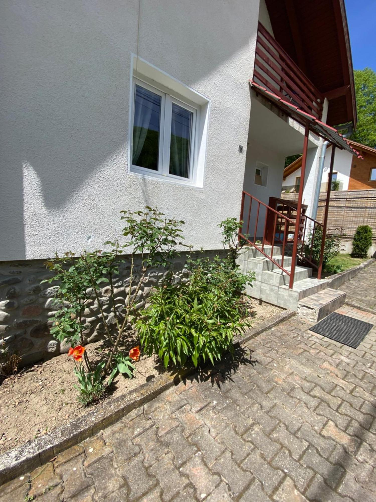Villa Casa Micul Arin Sovata Esterno foto