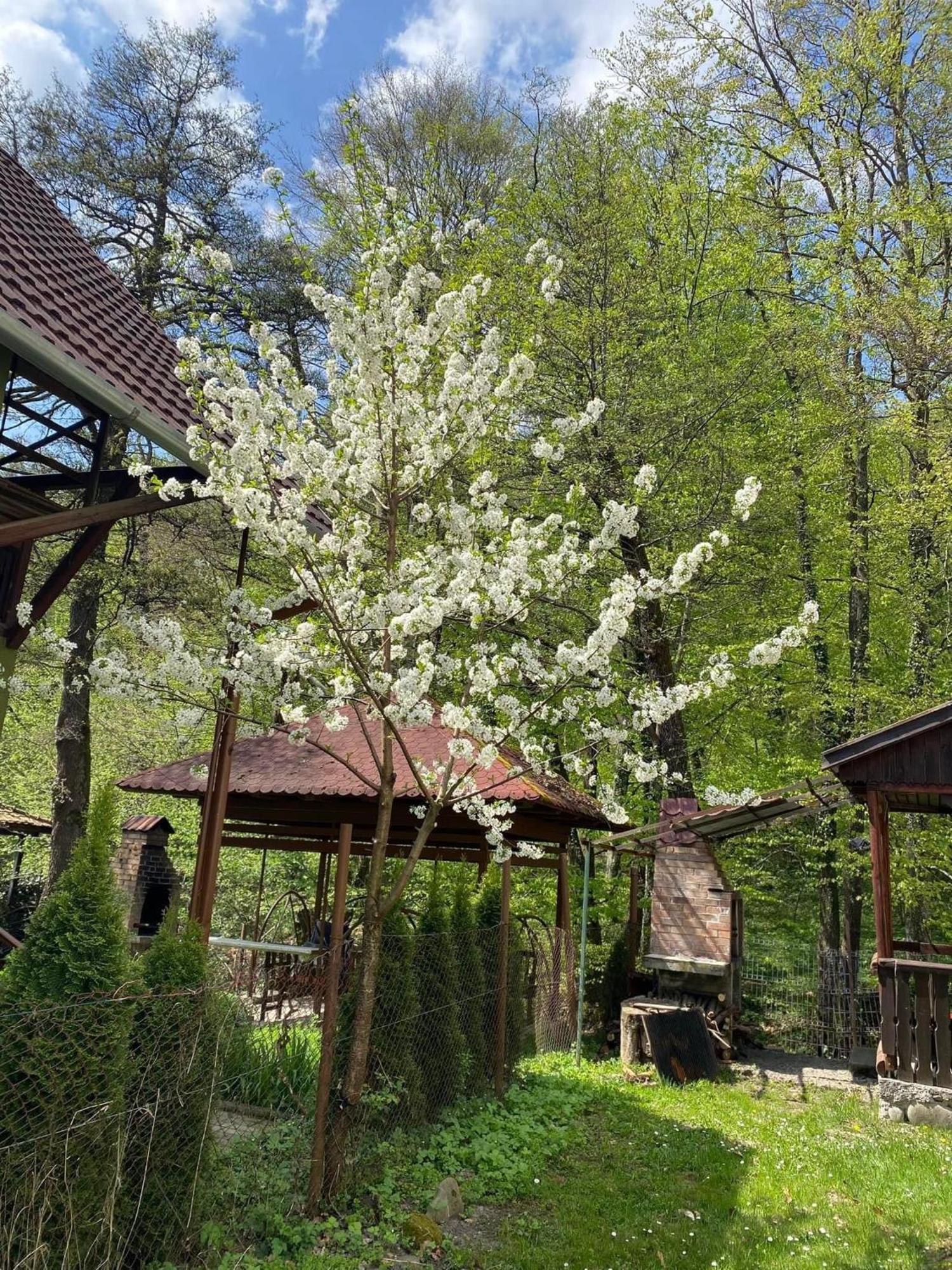 Villa Casa Micul Arin Sovata Esterno foto